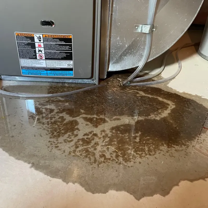 Appliance Leak Cleanup in Finneytown, OH